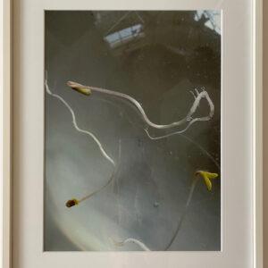 "ANFÄNGE" (2) | EVA-MARIA SCHÖN