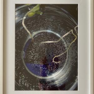 "ANFÄNGE" (3) | EVA-MARIA SCHÖN