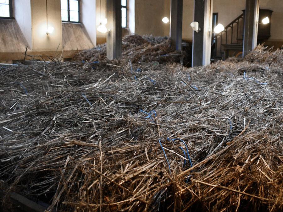 HEXE VON S. | KUNSTAKTION | 9.-11.9.
